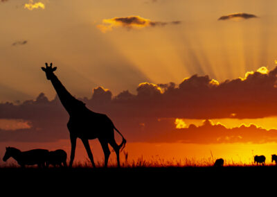 Kenya Sunset